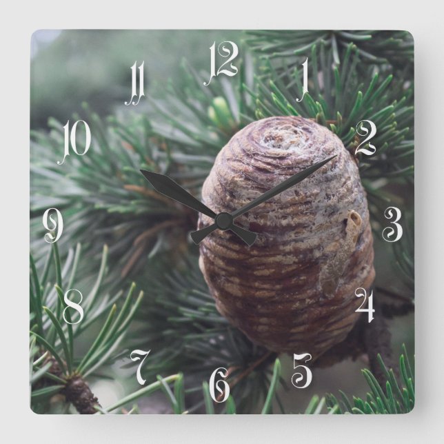 Reloj Cuadrado Pinecones (Anverso)