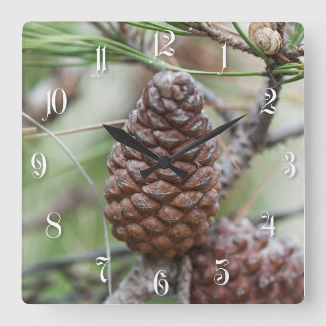 Reloj Cuadrado Pinecones (Anverso)