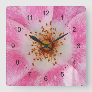 Reloj Cuadrado pink flower in the shade