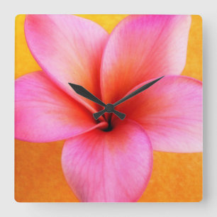 Reloj Cuadrado Pink Plumeria Frangipani Hawaii Flower Hawaiian