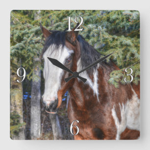 Reloj Cuadrado Pinto Paint Stallion & Evergreen Trees