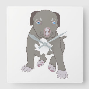 Reloj Cuadrado Pitbull Puppy