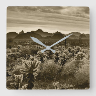 Reloj Cuadrado Planta del desierto de Teddy Bear Cholla Cactus