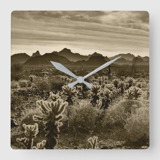 Reloj Cuadrado Planta del desierto de Teddy Bear Cholla Cactus (Anverso)