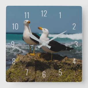Reloj Cuadrado Playa de aves de gaviota del Pacífico en el paraís
