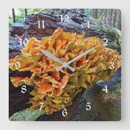 Reloj Cuadrado Pollo naranja del champiñón de Woods