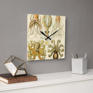 Reloj Cuadrado Poulpo vintage Gamochonia Calamar por Ernst Haecke