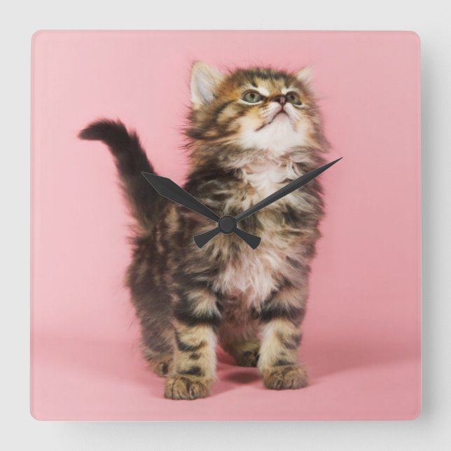 Reloj Cuadrado Pretty in Pink Kitten (Anverso)