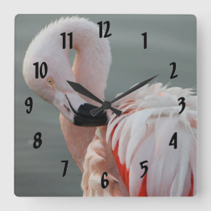Reloj Cuadrado Pretty Pink Flamingo
