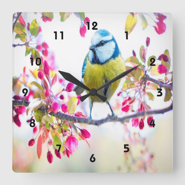 Reloj Cuadrado Primavera Azul Bird (Anverso)