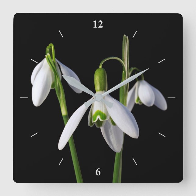Reloj Cuadrado Primavera primavera eterna (Anverso)