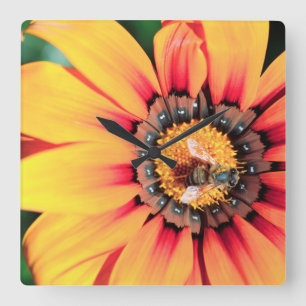 Reloj Cuadrado Primer extremo de una abeja que recoge el polen