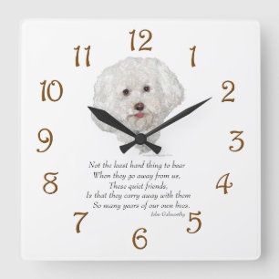 Reloj Cuadrado Puente del arco iris de Bichon Frise