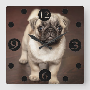 Reloj Cuadrado Pug. cuajo