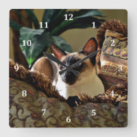 Punto de foco gato siamés sobre almohada cómoda