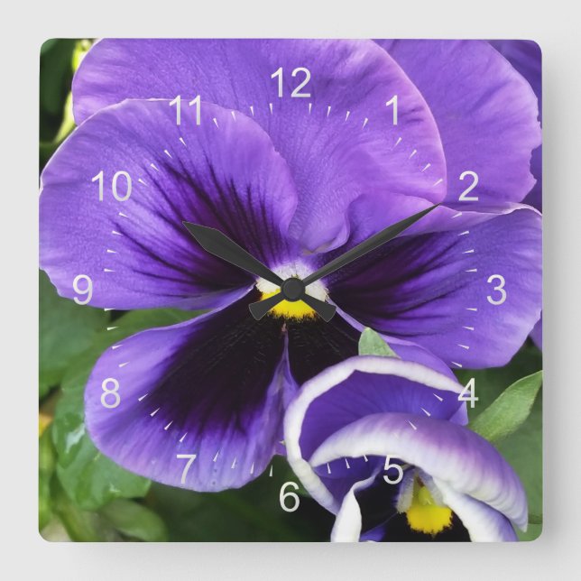 Reloj Cuadrado purple pansies (Anverso)