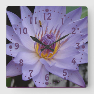 Reloj Cuadrado Purple Water Lily Wall Clock with Honeybee