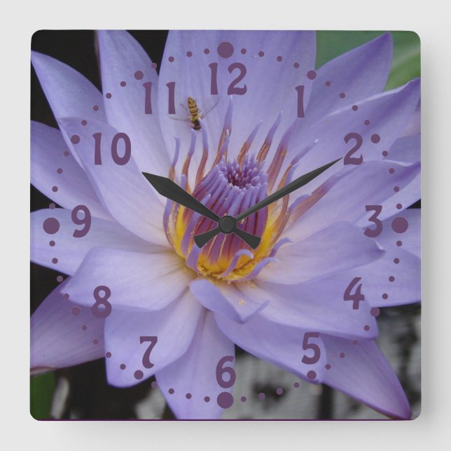 Reloj Cuadrado Purple Water Lily Wall Clock with Honeybee (Anverso)