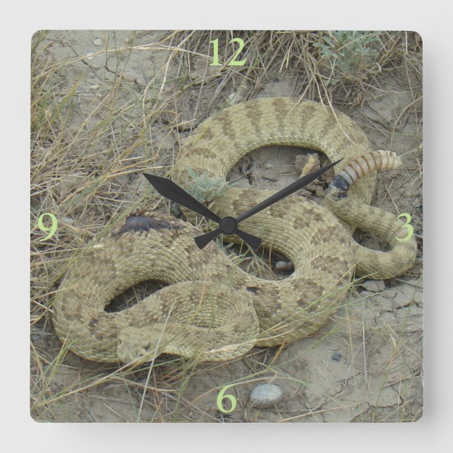 Reloj Cuadrado R20 Prairie Rattlesnake Herido (Anverso)