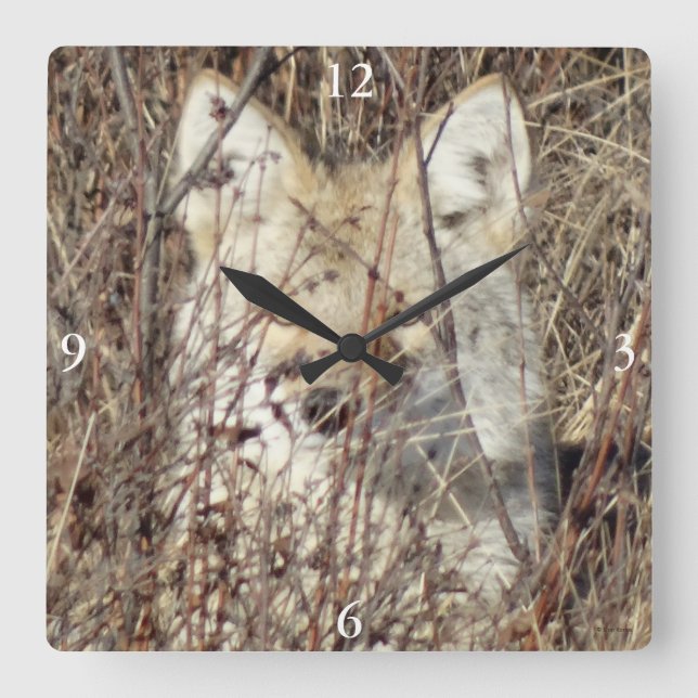 Reloj Cuadrado R21 Coyote "Te vigila" (Anverso)