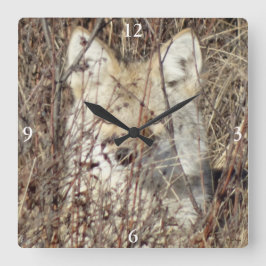 Reloj Cuadrado R21 Coyote "Te vigila"