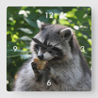 Reloj Cuadrado Raccoon_2015_0116