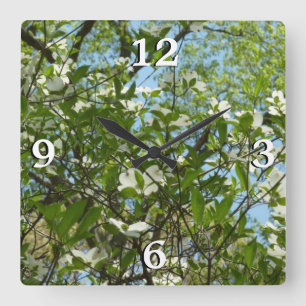 Reloj Cuadrado Ramas de Dogwood florecen árboles de primavera