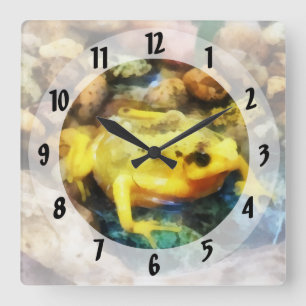 Reloj Cuadrado Rana dorada panameña
