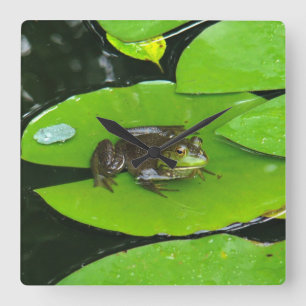 Reloj Cuadrado Rana toro en Lilypads