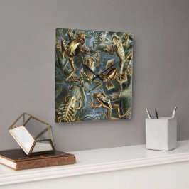 Reloj Cuadrado Ranas y sapos vintage Batrachia por Ernst Haeckel