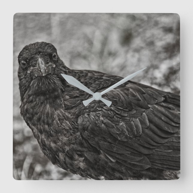 Reloj Cuadrado Raven P9239 (Anverso)