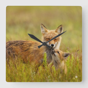 Reloj Cuadrado Red Fox Kit Looking Up to Momma 