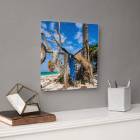 Redes de pesca que se secan en la playa