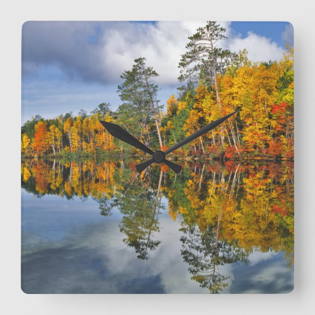 Reloj Cuadrado Reflejos de estanque en otoño, Maine (Anverso)