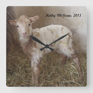 Reloj Cuadrado Reloj: cordero KathyMcGraw