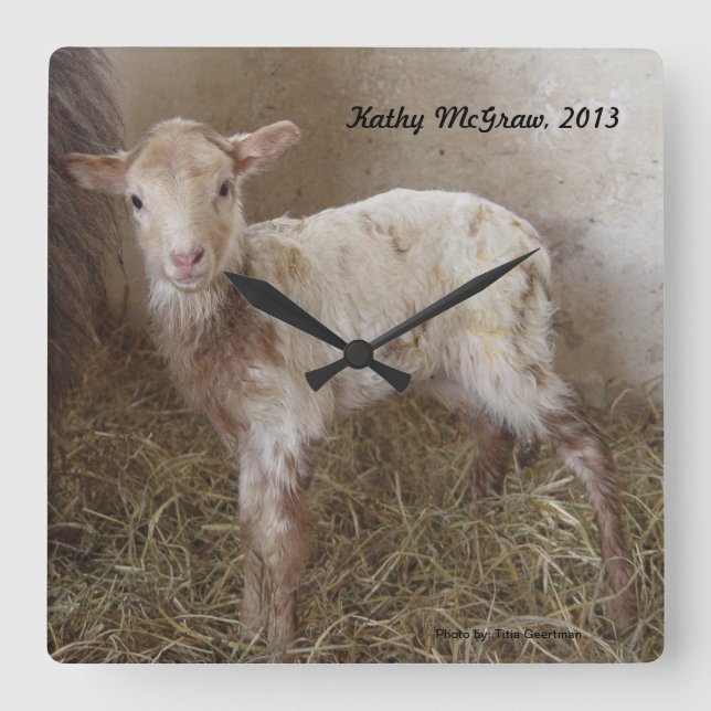 Reloj Cuadrado Reloj: cordero KathyMcGraw (Anverso)