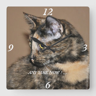 Reloj Cuadrado ¡Reloj de pared de los gatitos en cualquier