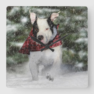 Reloj Cuadrado Rescate de bulldoges cayendo por la nieve