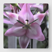 Resiliencia floral