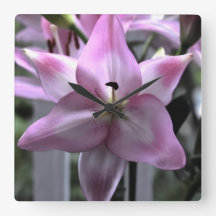 Resiliencia floral