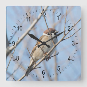 Reloj Cuadrado Resplandor