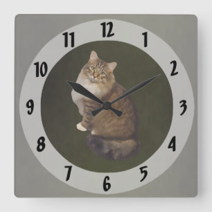 Reloj Cuadrado Retrato de gato Maine Coon