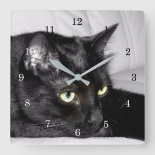 Reloj Cuadrado Retrato de gato negro lindo