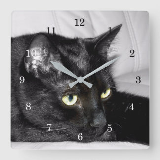 Reloj Cuadrado Retrato de gato negro lindo
