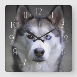 Reloj Cuadrado Retrato de Husky