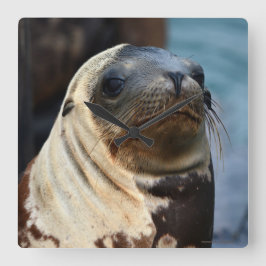 Reloj Cuadrado Retrato de león marino