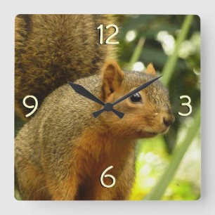 Reloj Cuadrado Retrato de una ardilla Fotografía de animales de l