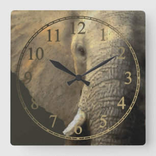 Reloj Cuadrado Retrato elefante