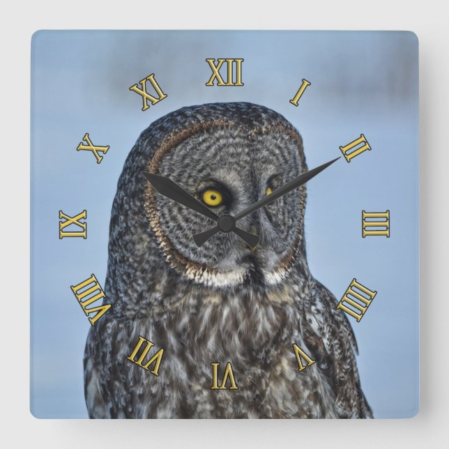 Reloj Cuadrado Retrato II de gran foto de lechuza gris (Anverso)