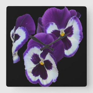 Reloj Cuadrado Retrato Púrpura Pansy,